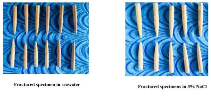 Análisis de fatiga por corrosión del acero al carbono medio C45. Análisis de fatiga por corrosión del acero al carbono medio C45.