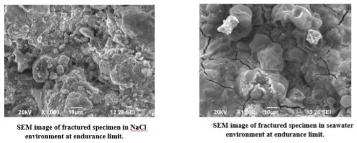 Análisis de fatiga por corrosión del acero al carbono medio C45. Análisis de fatiga por corrosión del acero al carbono medio C45.